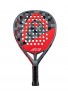 PALA HEAD GRAPHENE 360+ DELTA MOTION WITH CB