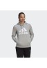 SUDADERA MUJER CON CAPUCHA BIG LOGO GRIS