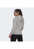 SUDADERA MUJER CON CAPUCHA BIG LOGO GRIS