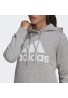 SUDADERA MUJER CON CAPUCHA BIG LOGO GRIS