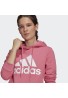 SUDADERA MUJER CON CAPUCHA BIG LOGO ROSA